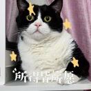 懒人936922767