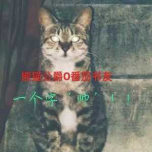 熊猫公爵