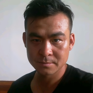 迷途考拉