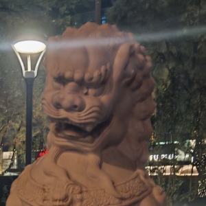 麦兜兜了了