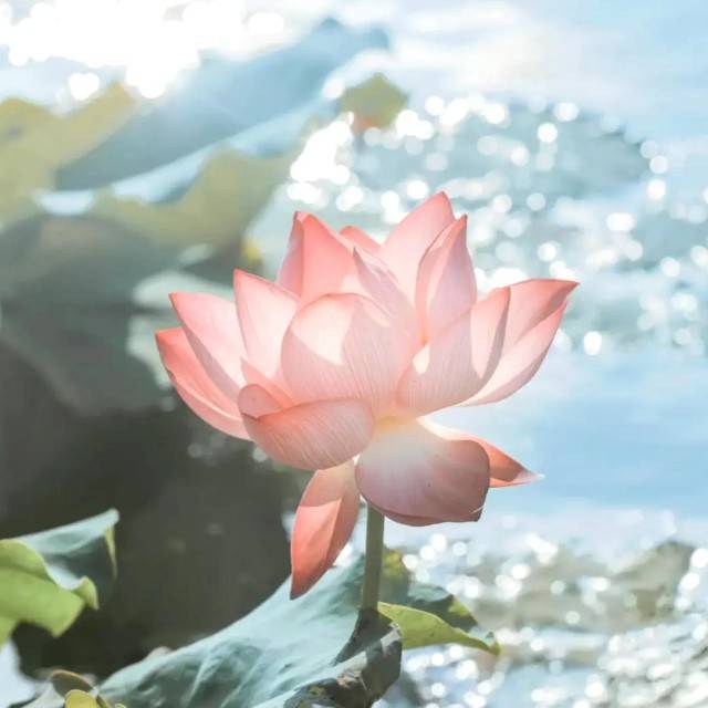 一默有音