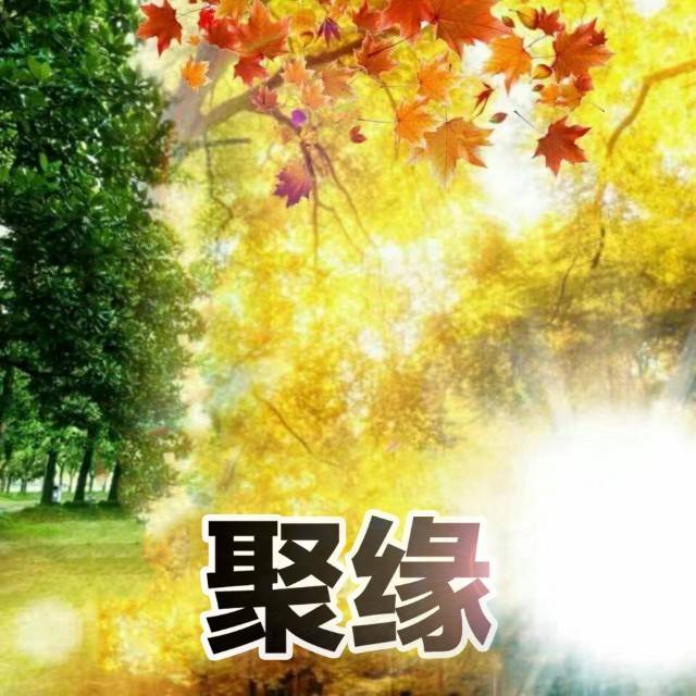 范范儿谈