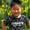 随风看云