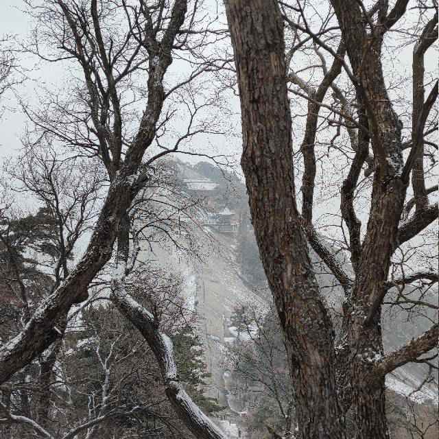 山郭晴雪