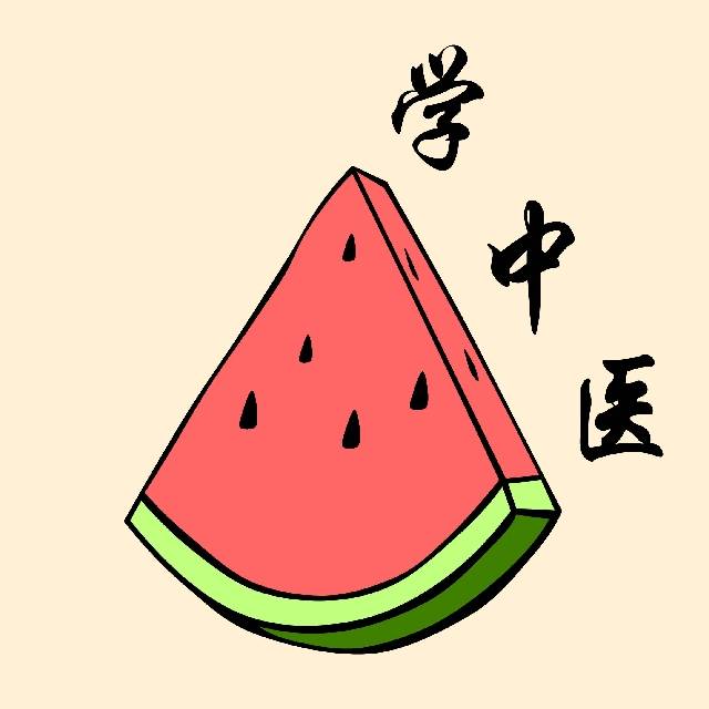 大西瓜学中医
