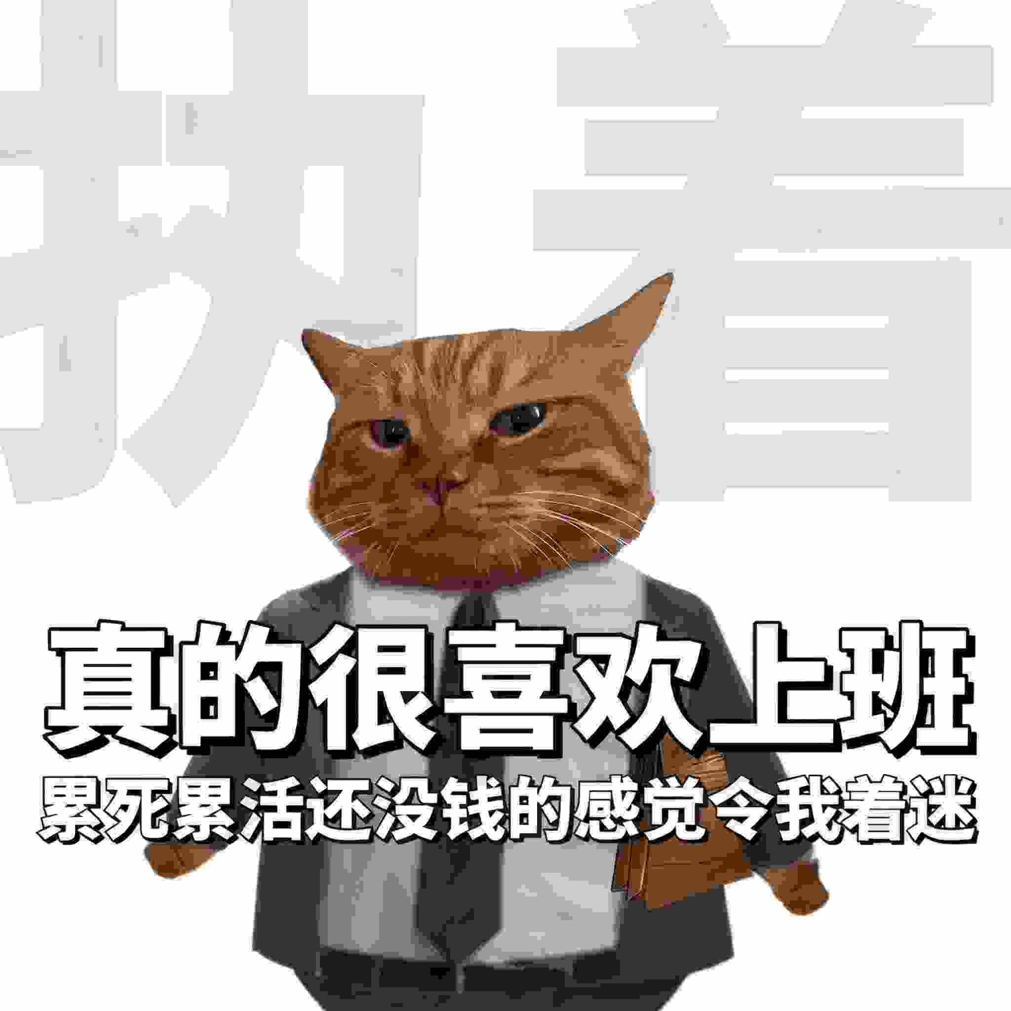 是少侠呀