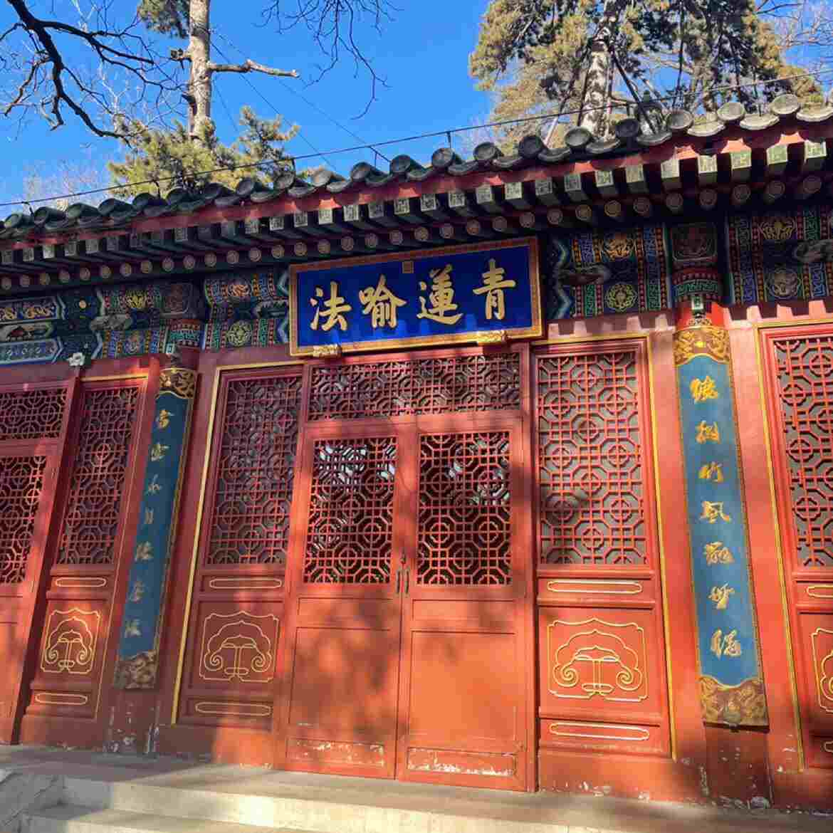 乐多很奇怪