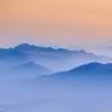 興福思月樓樓主