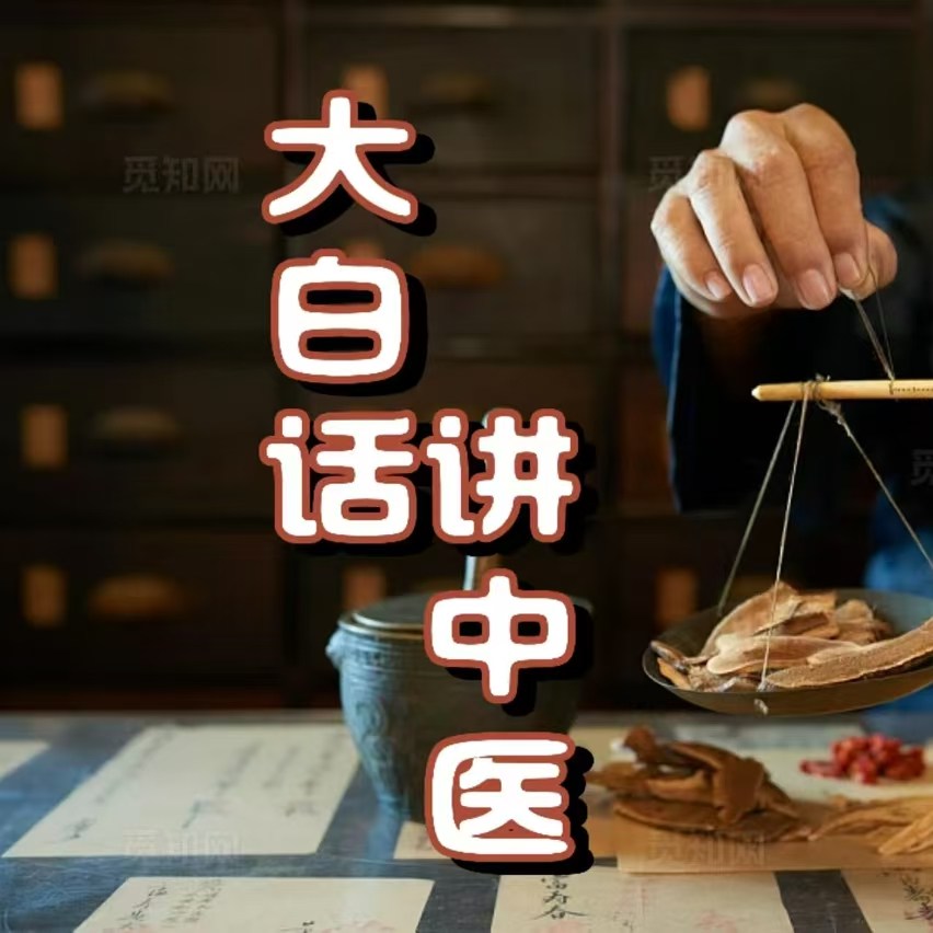 大白话讲中医