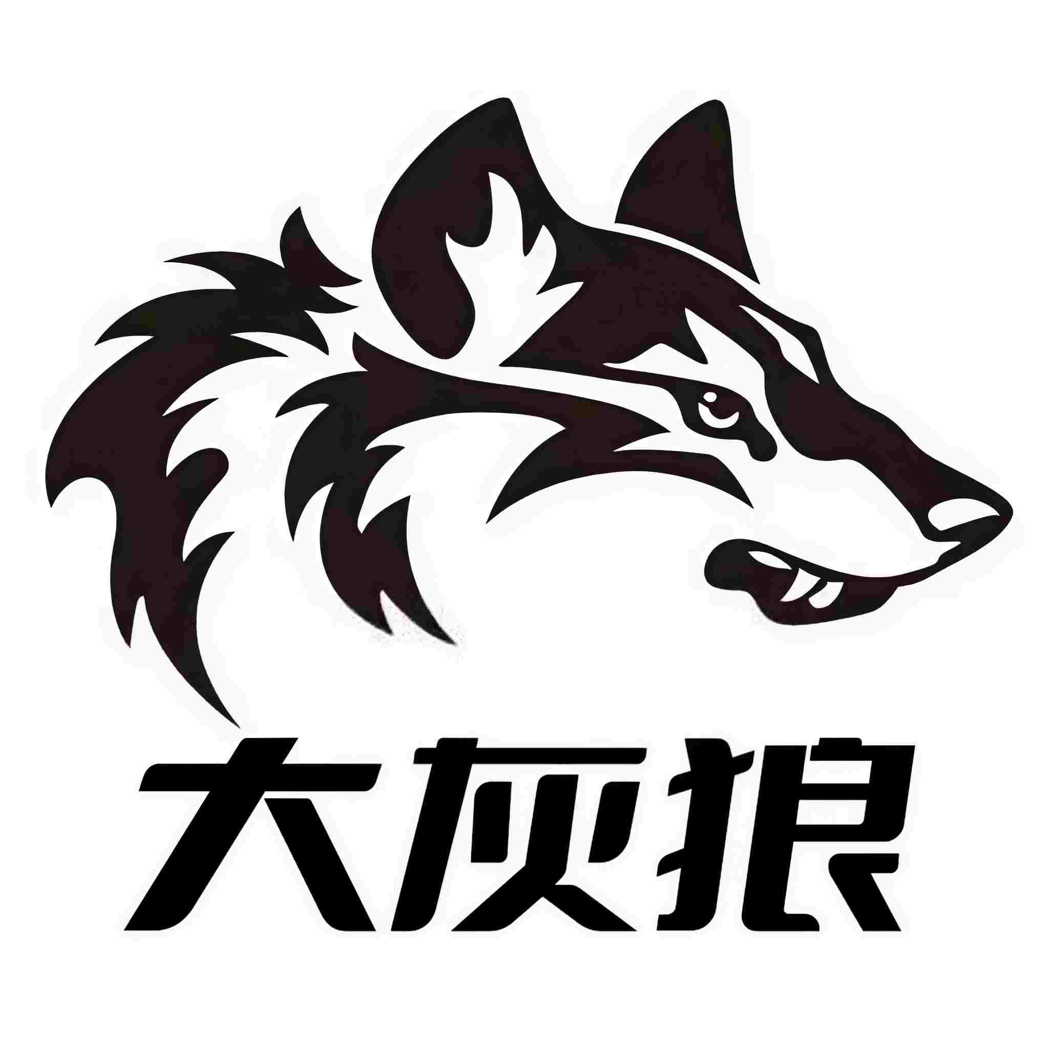 大灰狼158494