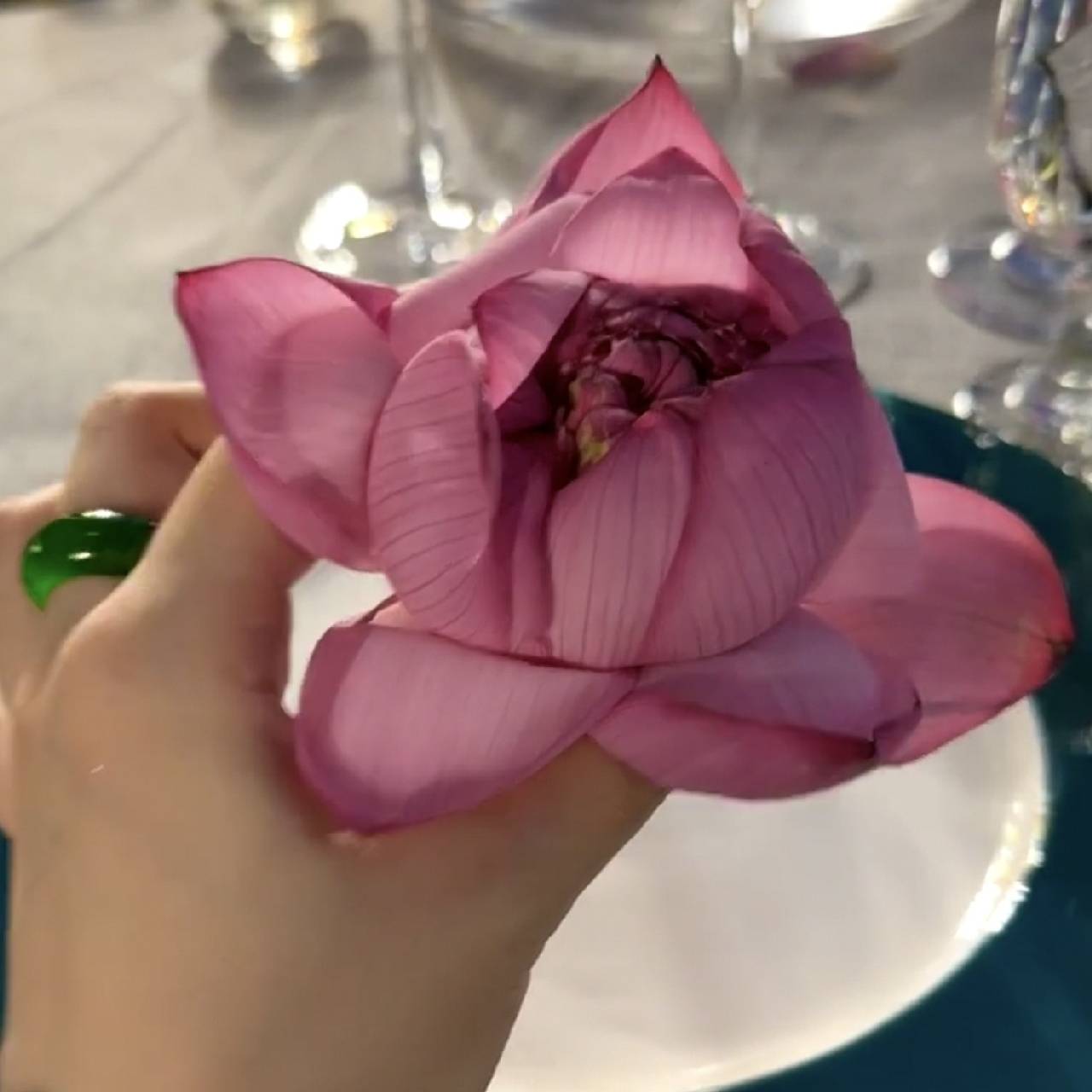 艾丽无废话财经之昕兒