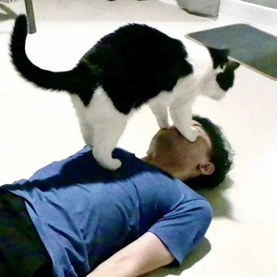惯性失眠_