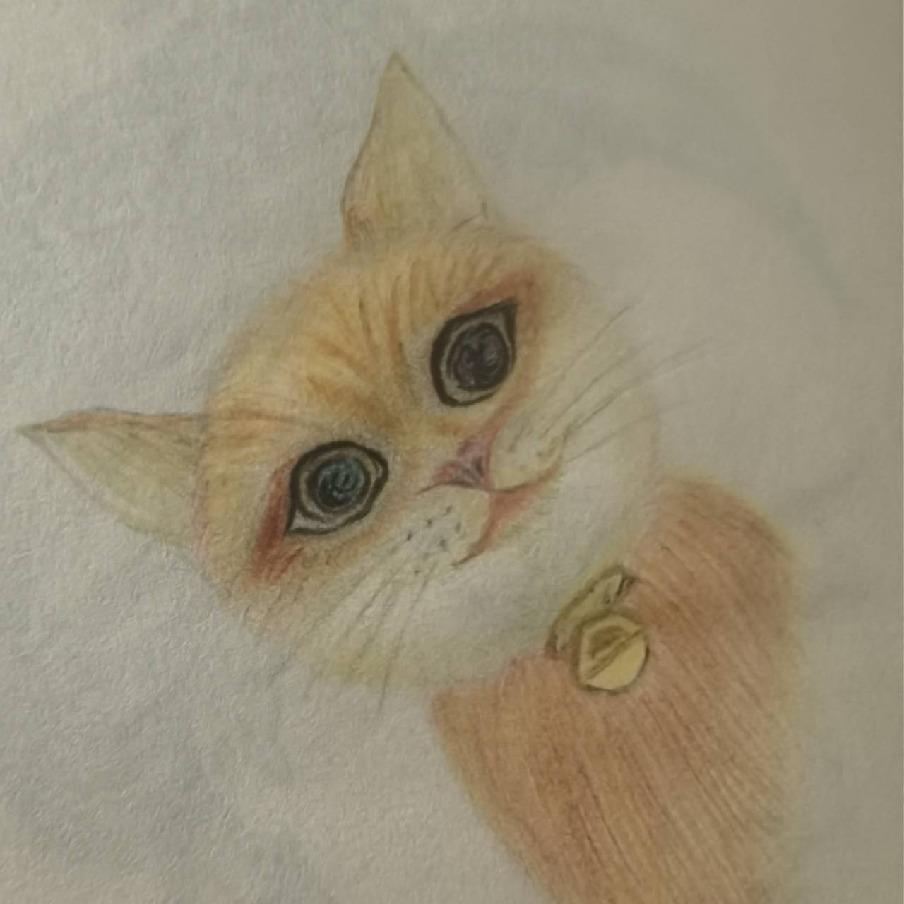盘旋的鹰ll