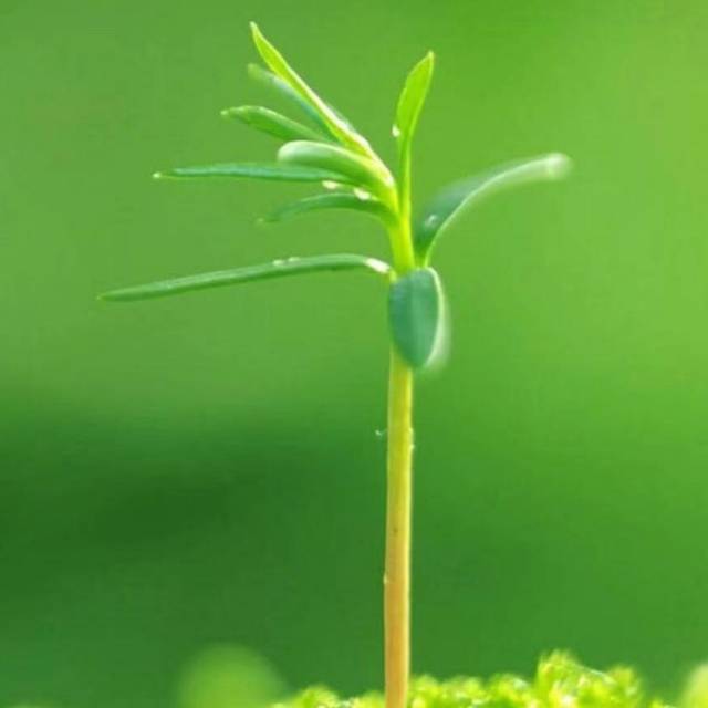 博涵悦读
