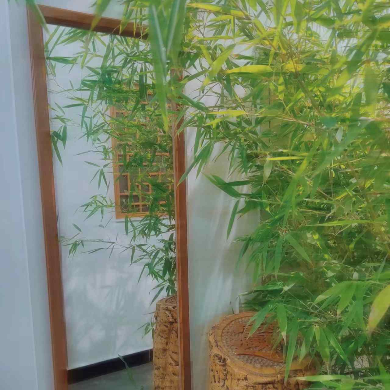 梨穗