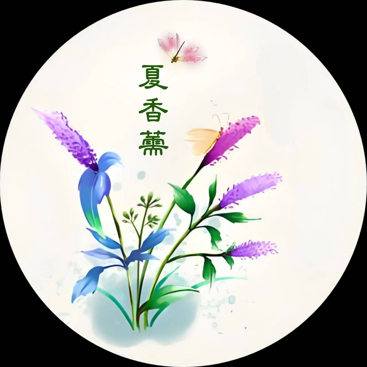 夏香薷食疗和心理咨询