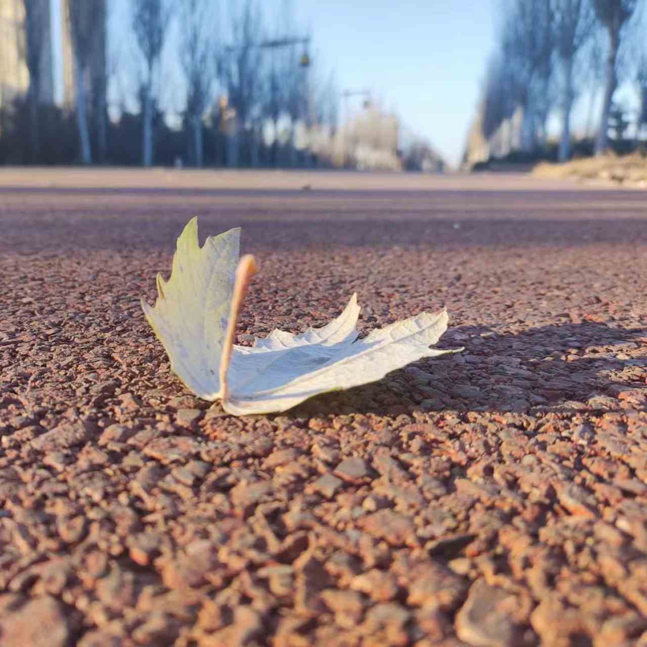 晨诵无声