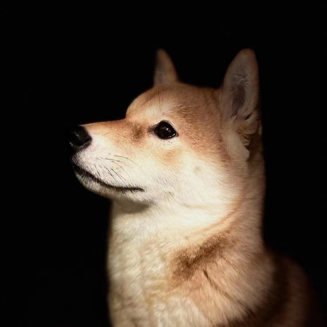 雀離
