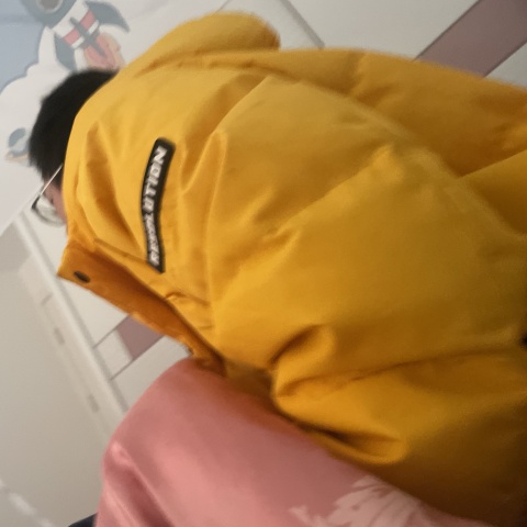 朱伟君