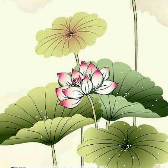 夏日凉爽哦