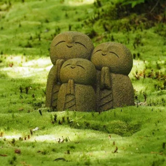 小玩子阿姨