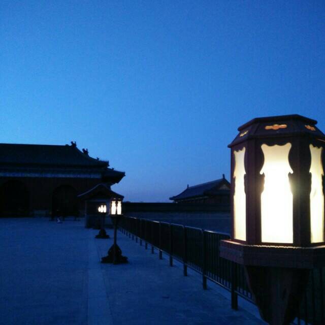 海棠的秋