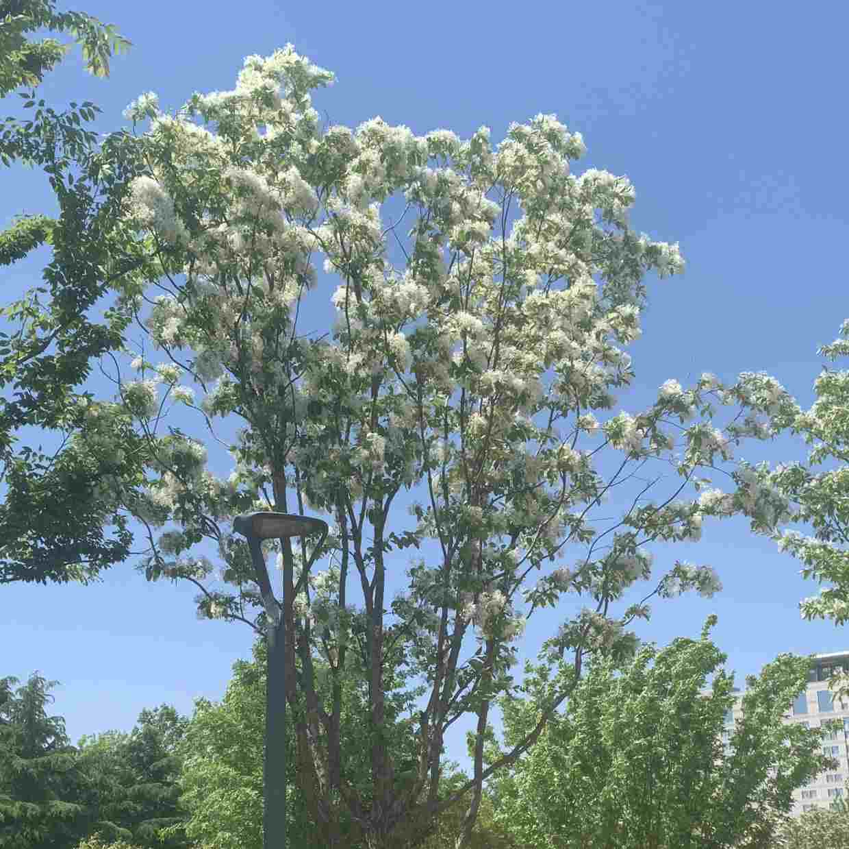 注册营养师东柱