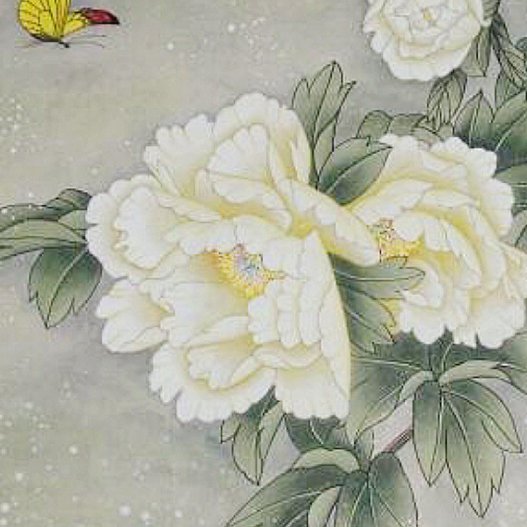 白芍读书