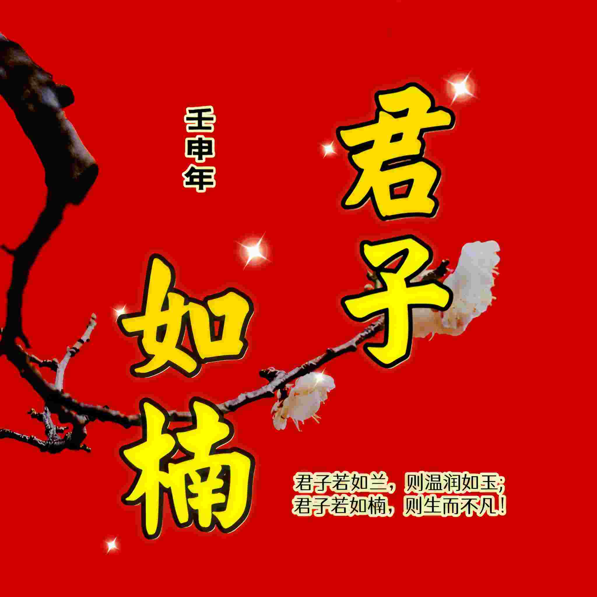 君子如楠