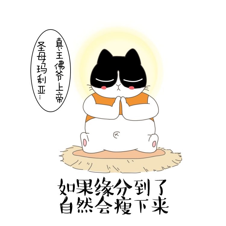 信息系统