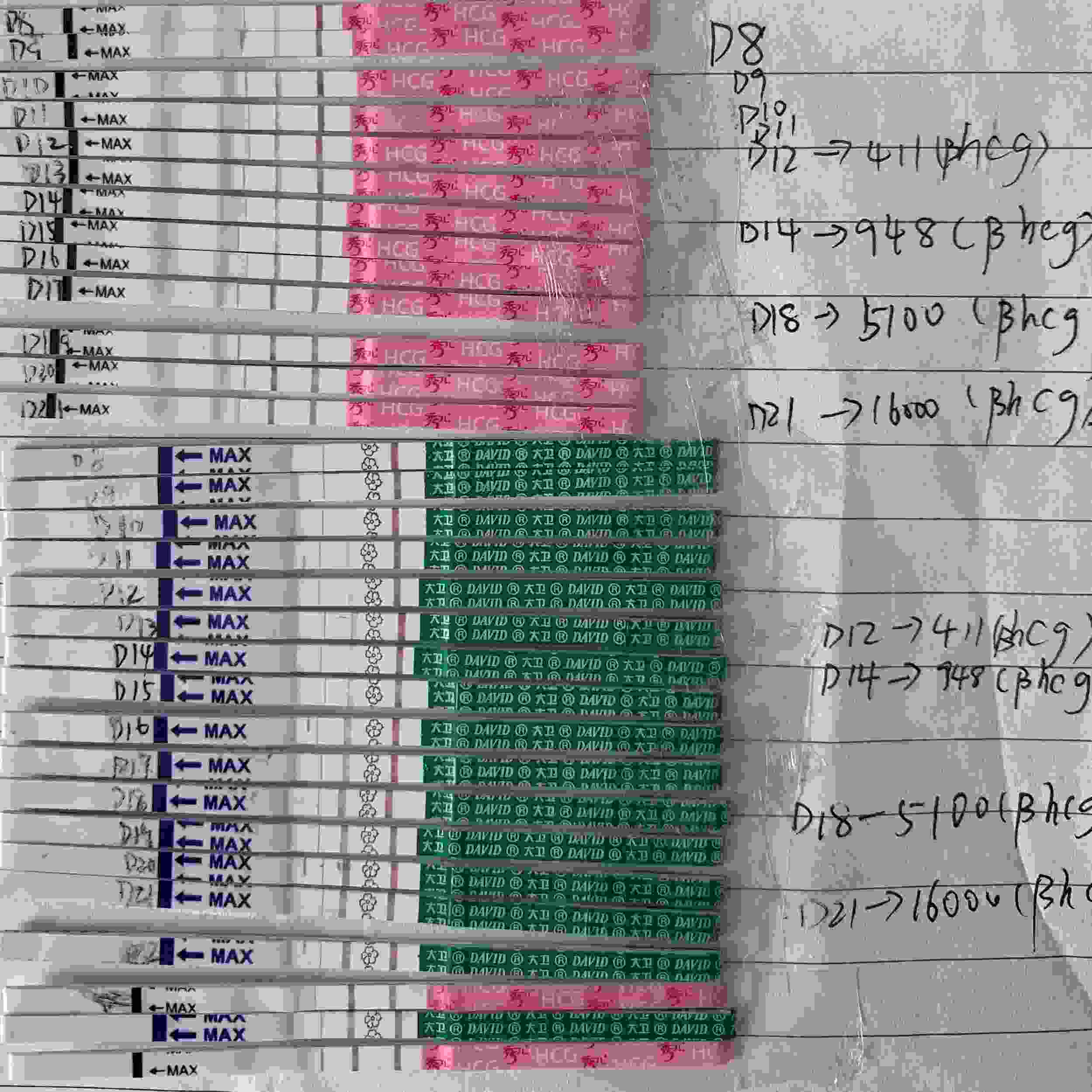 意念灰试管
