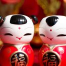 小花牛私房中医养生