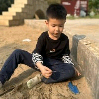 鑫鑫仔