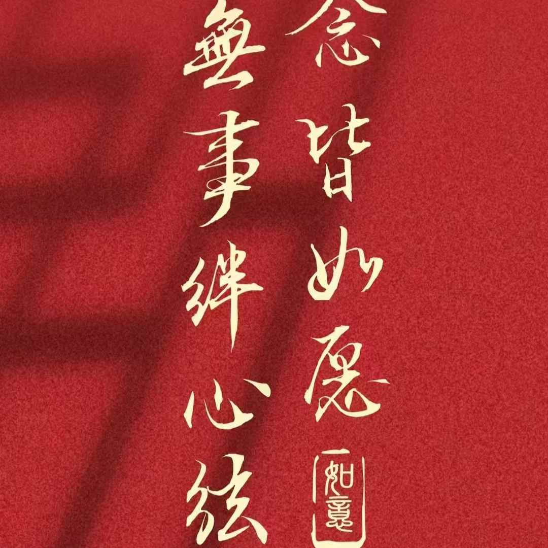 鼓捣猫