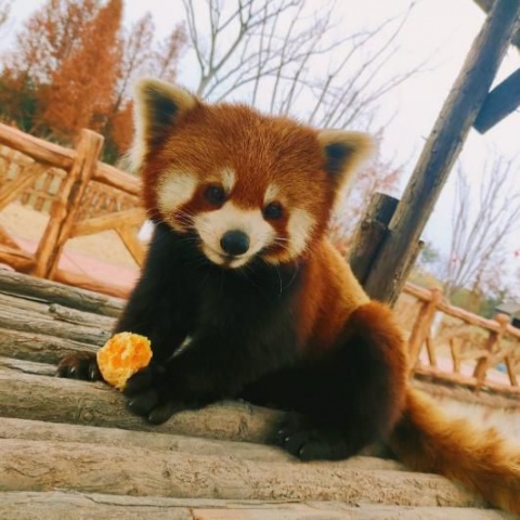 世界