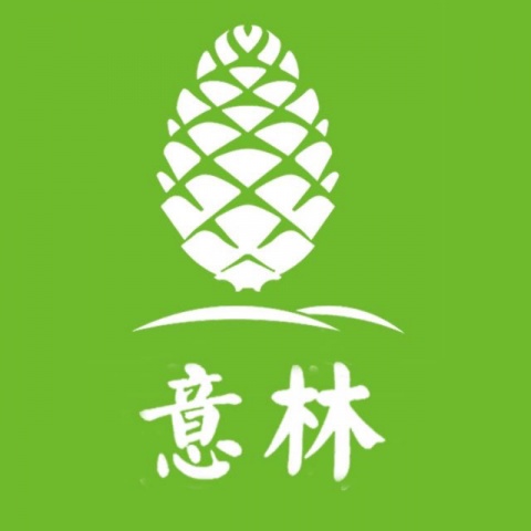 意林