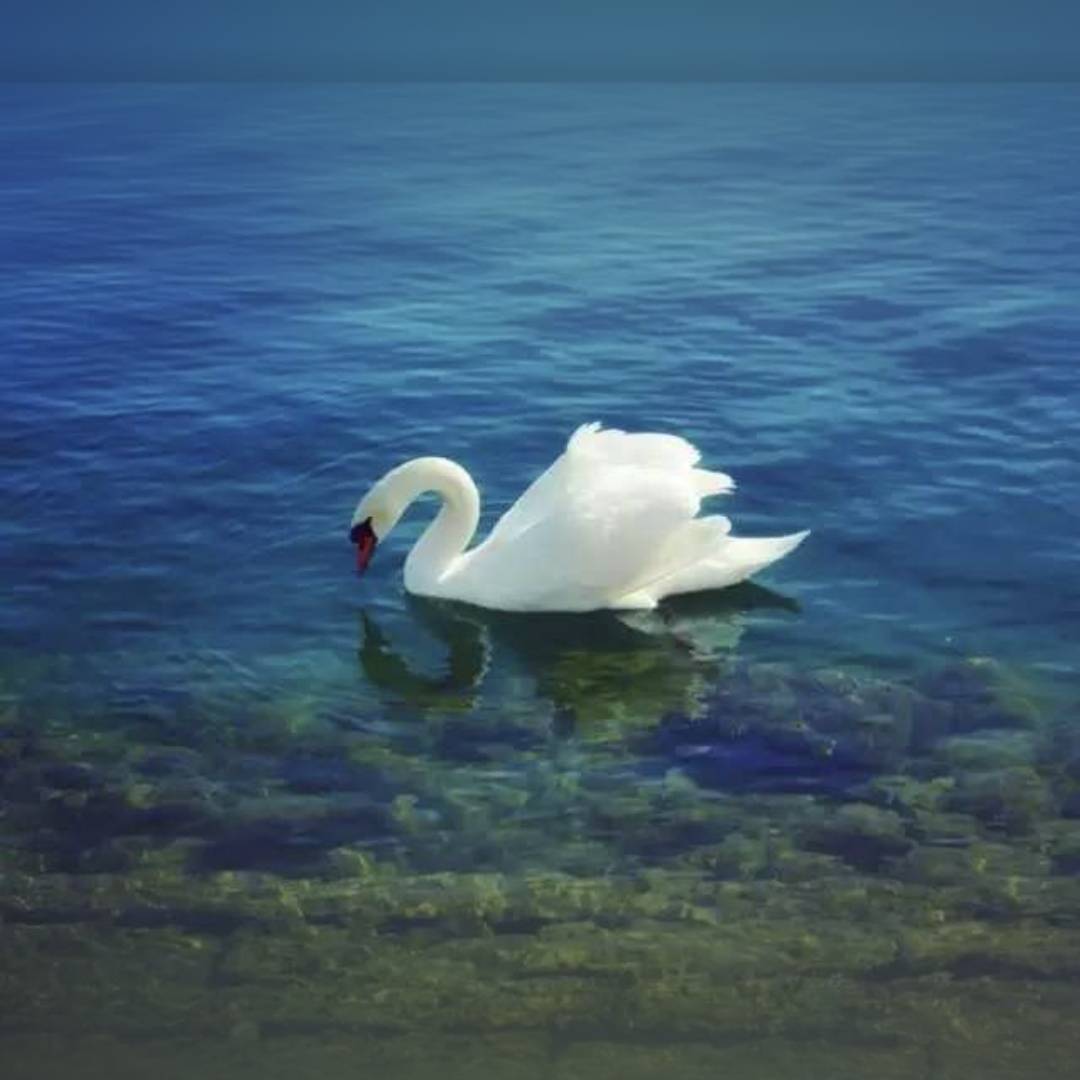 阳春暖