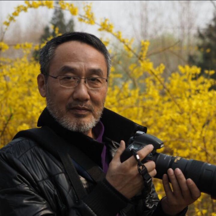 王更新