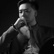 壮则思飞