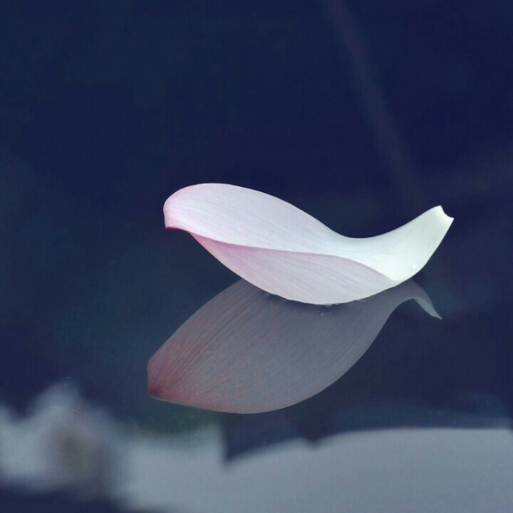 yuexueyan