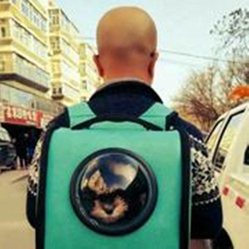 主播入目山分