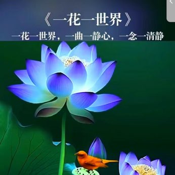 虹之炯措