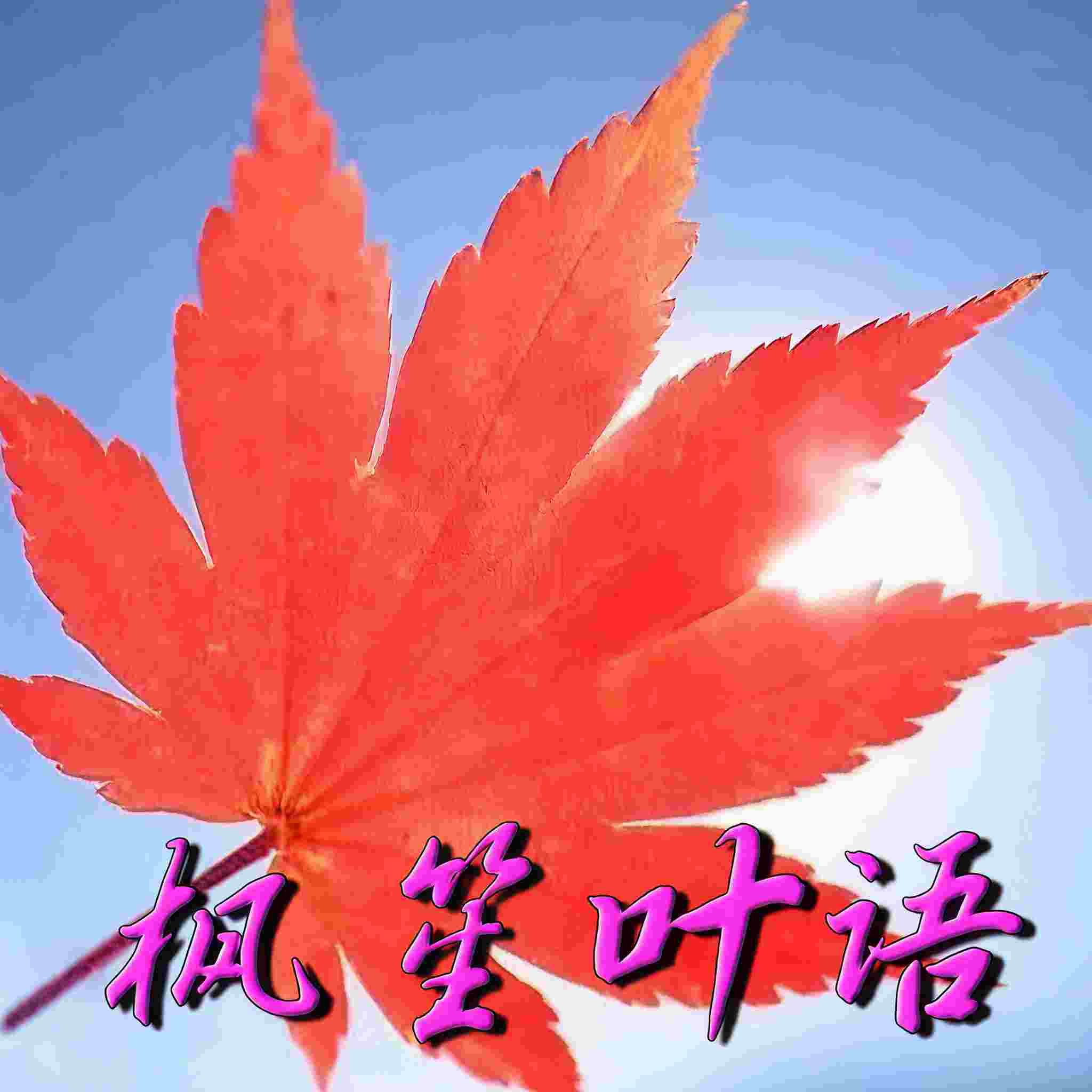 枫笙叶语II