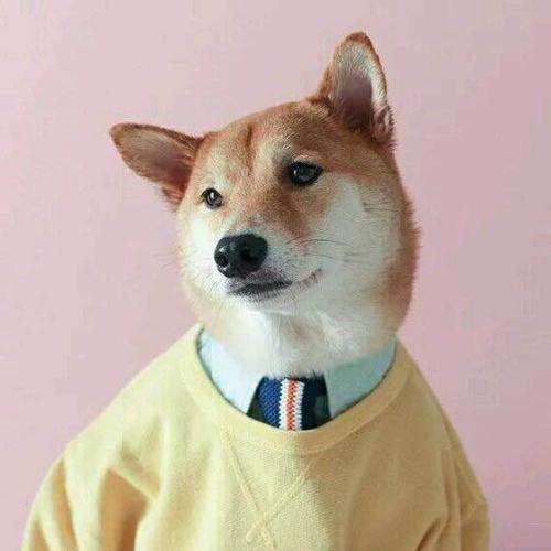 老黄故事