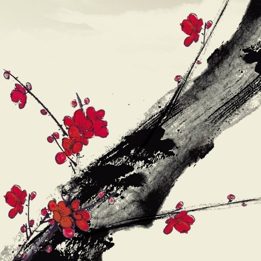 m花开