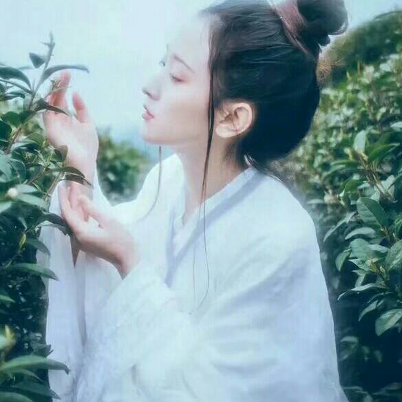 甘草女士