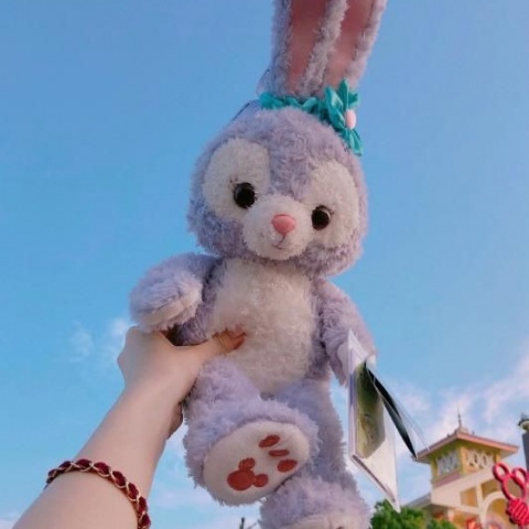 朵兰