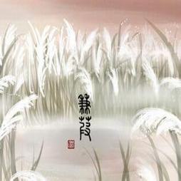 月半弯