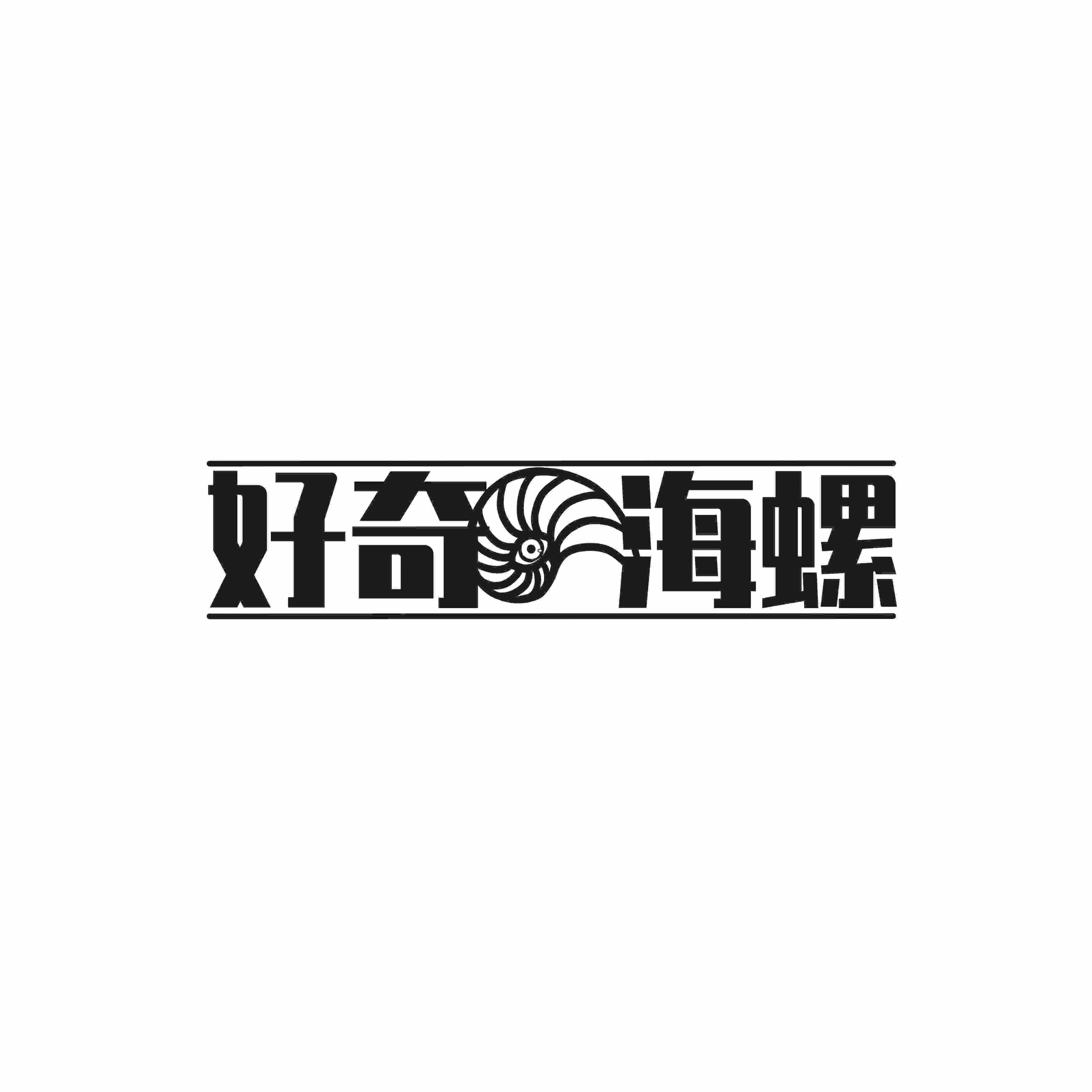 好奇海螺