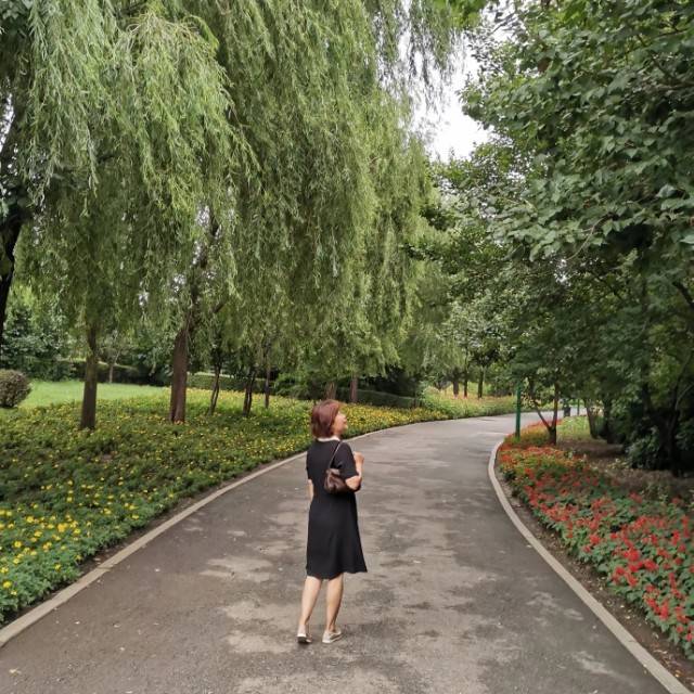 莫名的夏天